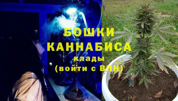 индика Богданович